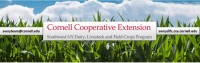 Webinar banner